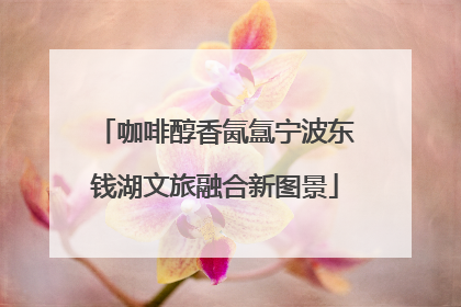 咖啡醇香氤氲宁波东钱湖文旅融合新图景